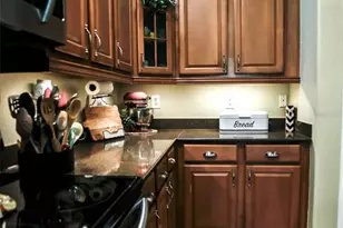 1169 Emerald Hill Way, Valrico, FL 33594 - Photo 16
