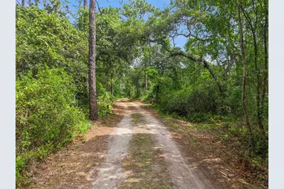 1675 Curryville Road, Chuluota, FL 32766 - Photo 12