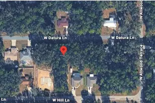 1616 W Datura Ln, Citrus Springs, FL 34434 - Photo 1