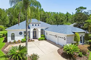 21105 Lake Vienna Dr, Land O Lakes, FL 34638 - Photo 100