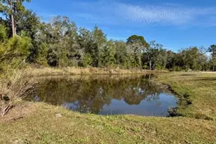 191 Purcell Dr, Orlando, FL 32825 - Photo 8