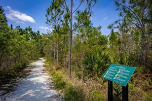 6721 Rucksack Rd, Saint Cloud, FL 34771 - Photo 16