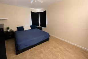 3157 Phlox Dr, Palm Harbor, FL 34684 - Photo 8