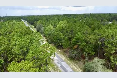 3861 W Firewood Loop, Citrus Springs, FL 34433 - Photo 6