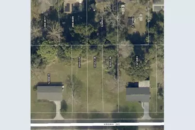 Virginia Avenue, Eustis, FL 32726 - Photo 2