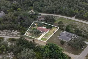 2820 Livingston Rd, Avon Park, FL 33825 - Photo 6