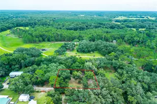 43110 E 4th St, Paisley, FL 32767 - Photo 22