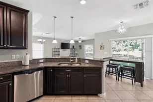 1677 Ludington Ave, Wesley Chapel, FL 33543 - Photo 14