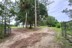 1685 E Osceola Rd, Geneva, FL 32732 - Photo 34