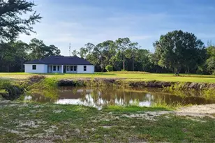 1685 E Osceola Rd, Geneva, FL 32732 - Photo 44