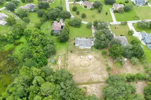 22841 Stallion Dr, Sorrento, FL 32776 - Photo 42