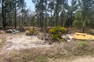 246 Caspian Tern Ave, Sebring, FL 33870 - Photo 1