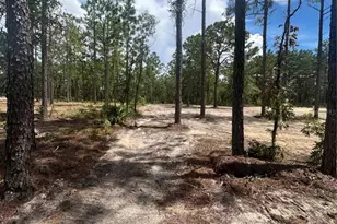 12185 SW 98th St, Dunnellon, FL 34432 - Photo 58