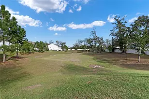1335 E 10th St, Apopka, FL 32703 - Photo 42