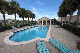6486 Merrick Landing Blvd, Windermere, FL 34786 - Photo 18