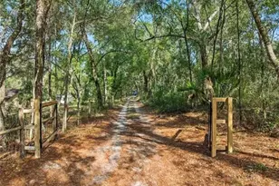 1208 Darcy Rd, Lady Lake, FL 32159 - Photo 30