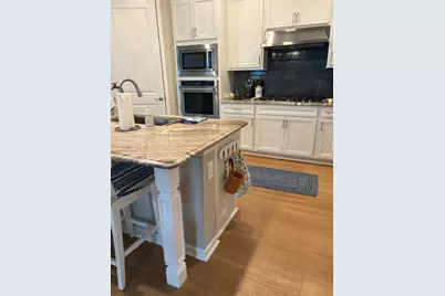 18498 Coastal Shore Terrace, Land O Lakes, FL 34638 - Photo 10