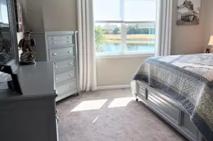 18498 Coastal Shr Ter, Land O Lakes, FL 34638 - Photo 24