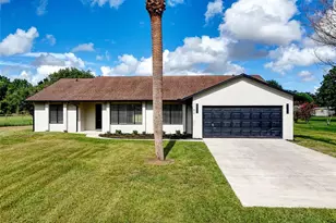 1192 Liza St, Saint Cloud, FL 34771 - Photo 1