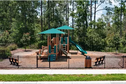 1441 Sawgrass Hammock Lane, Davenport, FL 33837 - Photo 4