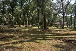 Tbd SW 111th Ln, Dunnellon, FL 34432 - Photo 1