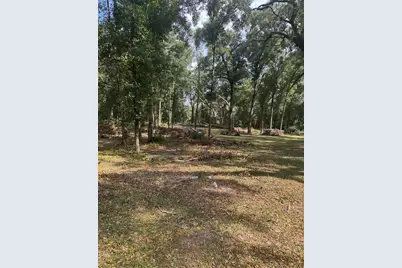 Tbd SW 111th Lane, Dunnellon, FL 34432 - Photo 2
