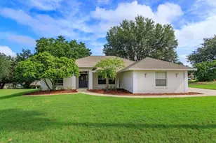 11316 Via Mari Cae Ct, Clermont, FL 34711 - Photo 2