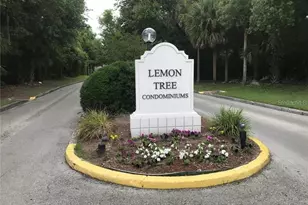 2512 Lemon Tree Ln, Orlando, FL 32839 - Photo 2