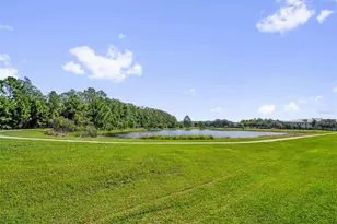 3130 Dark Sky Dr, Saint Cloud, FL 34773 - Photo 28