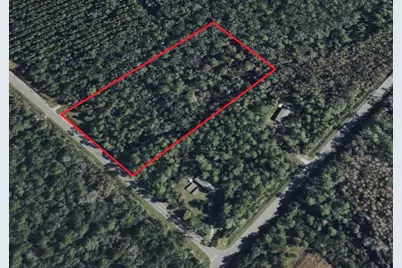 000 Water Oak Road, Bunnell, FL 32110 - Photo 4