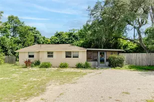 4181 Chestnut Dr, Mount Dora, FL 32757 - Photo 1