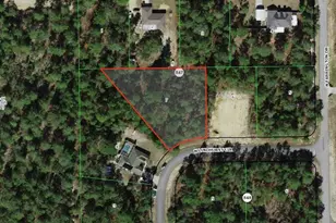 8670 N Lindhurst Cir, Citrus Springs, FL 34433 - Photo 1