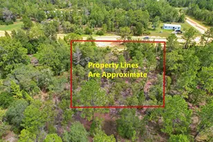 515 Interlachen Blvd, Interlachen, FL 32148 - Photo 1