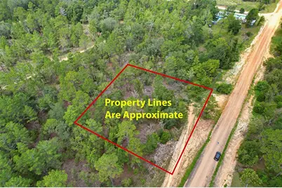 515 Interlachen Boulevard, Interlachen, FL 32148 - Photo 2