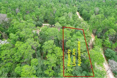 206 Utah Street, Satsuma, FL 32189 - Photo 2
