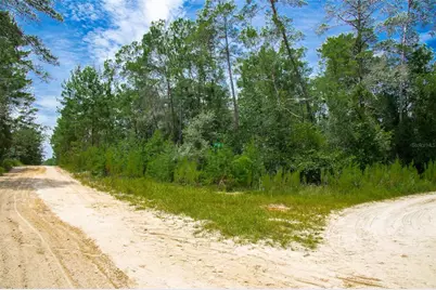 202 Utah Street, Satsuma, FL 32189 - Photo 8