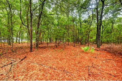 7550 SW 185th Circle, Dunnellon, FL 34432 - Photo 46