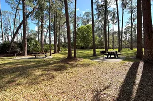 287 Walleye Dr, Davenport, FL 33837 - Photo 38