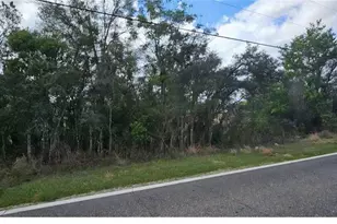 Mystery House Rd, Haines City, FL 33844 - Photo 1