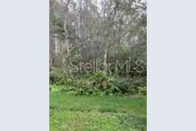 16171 Old Ash Loop, Orlando, FL 32828 - Photo 14