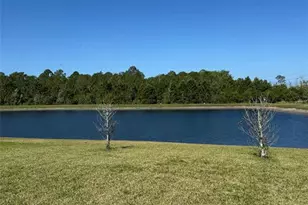 9850 Magnolia Woods Blvd, Orlando, FL 32832 - Photo 28