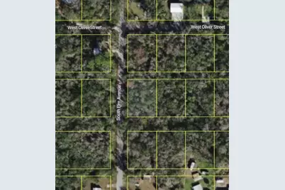 10243 W Palmetto Street, Homosassa, FL 34448 - Photo 2