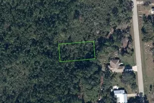 641 McKinley St, Lake Placid, FL 33852 - Photo 1