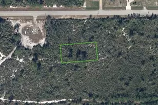 659 Buchanan St, Lake Placid, FL 33852 - Photo 1