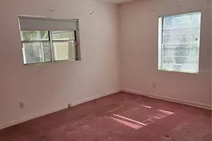 2917 Vine St, Orlando, FL 32806 - Photo 8