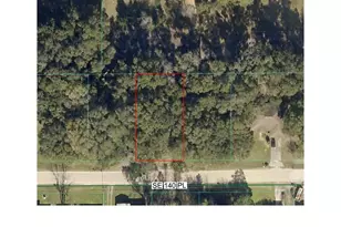 Tbd SE 140th Pl, Summerfield, FL 34491 - Photo 1