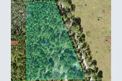 00 Van Fleet Trail, Polk City, FL 33868 - Photo 8