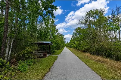 00 Van Fleet Trail, Polk City, FL 33868 - Photo 2