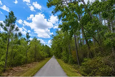 00 Van Fleet Trail, Polk City, FL 33868 - Photo 1