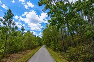 00 Van Fleet Trail, Polk City, FL 33868 - Photo 1